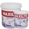 Maxilite Cat Genteng